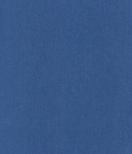 Coton gratté bleu 511 165G/M2