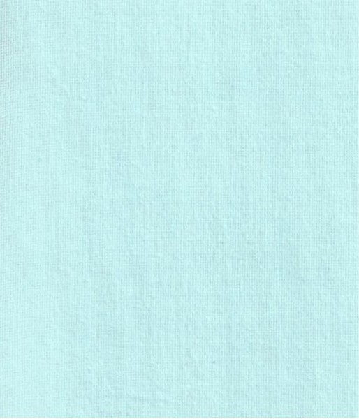 Coton gratté bleu pâle 923 165G/M2