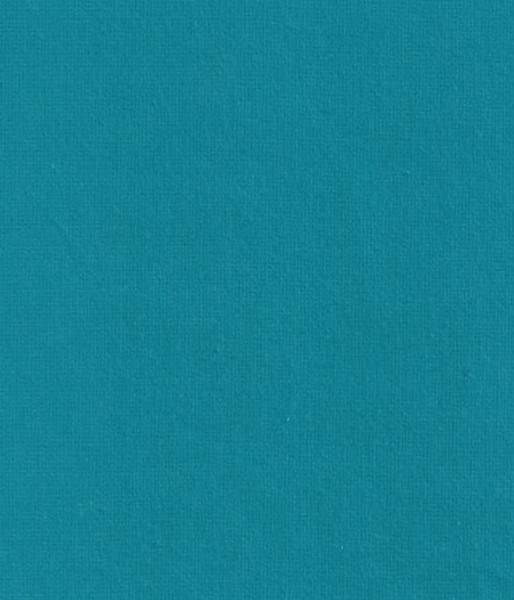 Coton gratté bleu canard 922 140G/M2