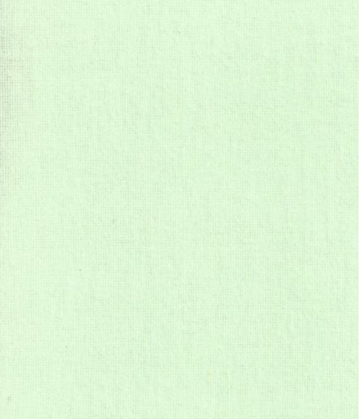 Coton gratté vert d'eau pâle 901 140G/M2