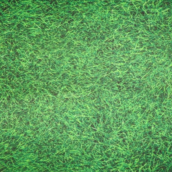 Moquette impression numérique 