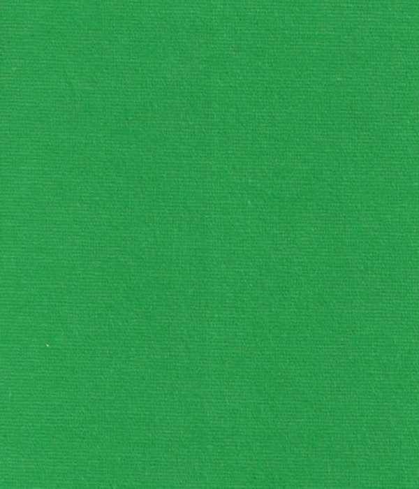 Coton gratté vert malachite 916 165G/M2