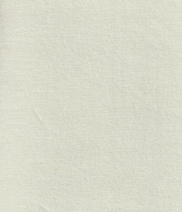 Coton gratté beige clair 241 140G/M2