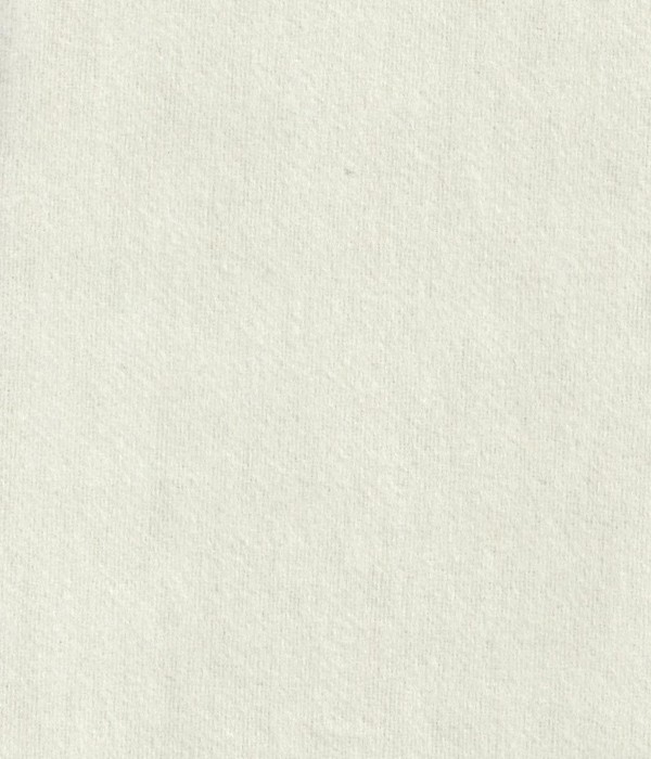 Coton gratté beige clair 720 185G/M2