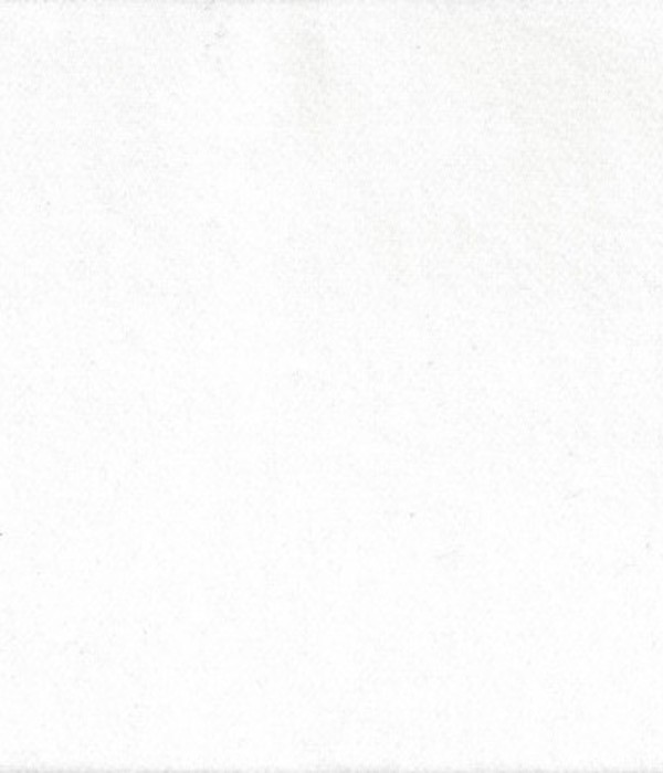 Coton gratté blanc 240G/M2