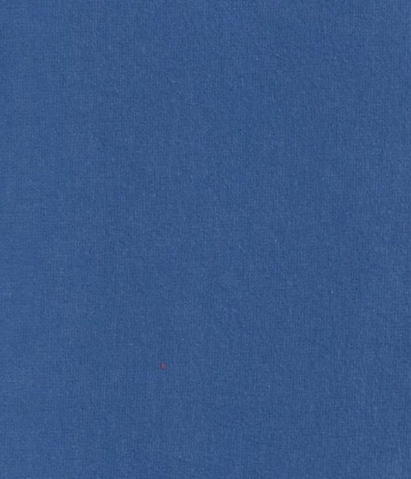 Coton gratté bleu 511 140G/M2